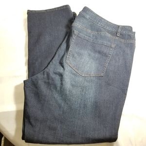 Lane Bryant Venezia Denim Jean's Womens Size 24